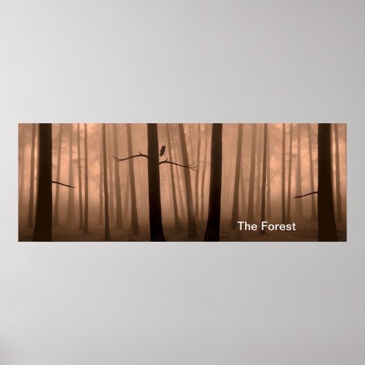 Waldbild für Poster (Vorne)