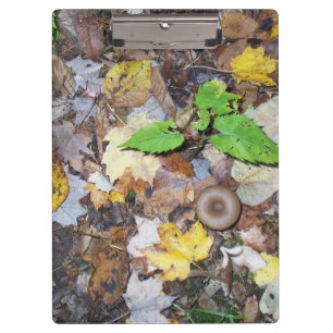 WaldBlätter Klemmbrett
