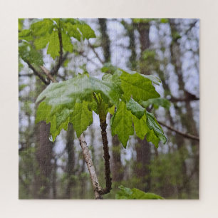 Waldblätter nach Regen – Wilde Natur Rumänien Puzzle