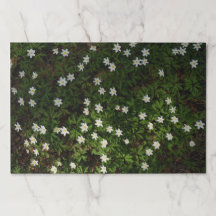 Waldblumen-Papier-Setter
