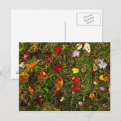 Waldboden im Herbst Postkarte (Vorne/Hinten)
