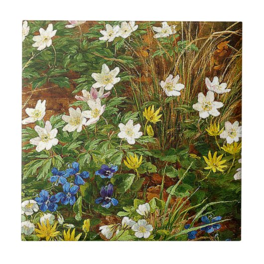 Waldboden mit Anemonen und Violetten Fliese (Vorderseite)