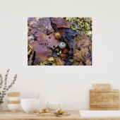 Waldboden Poster (Küche)