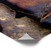 Waldboden Poster (Ecke)