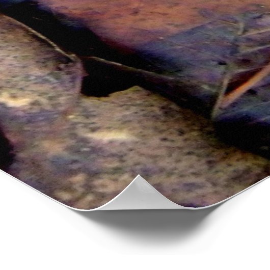 Waldboden Poster (Ecke)