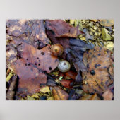 Waldboden Poster (Vorne)