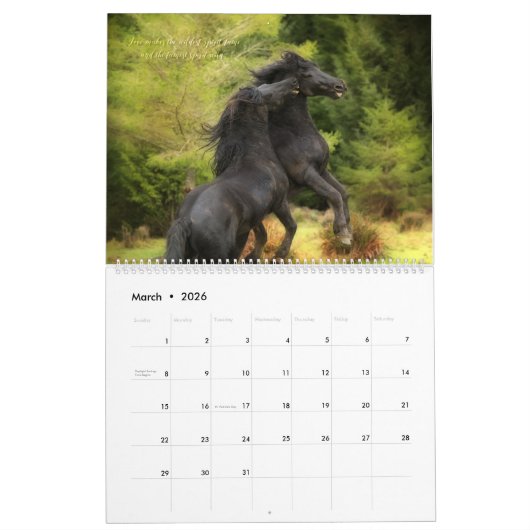 WaldBoyz Kalender 2016 (Mär 2026)