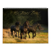 WaldBoyz Kalender 2016 (Titelbild)