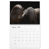 WaldBoyz Kalender 2017 (Feb 2027)