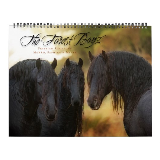 WaldBoyz Kalender 2017 (Titelbild)