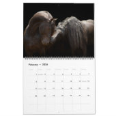 WaldBoyz Kalender 2017 (Feb 2026)