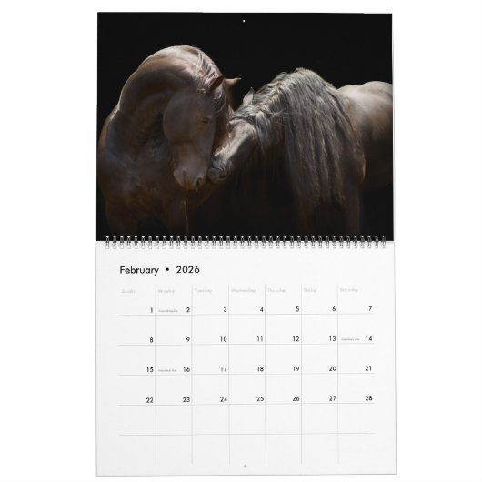 WaldBoyz Kalender 2017 (Feb 2026)