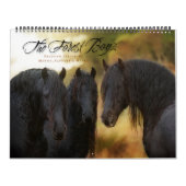 WaldBoyz Kalender 2017 (Titelbild)