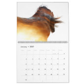 WaldBoyz Kalender 2018 (Jan 2027)