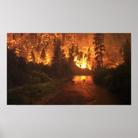 Waldbrand - Hirsch Poster (Vorne)