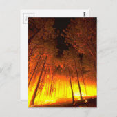 Waldbrand Postkarte (Vorne/Hinten)
