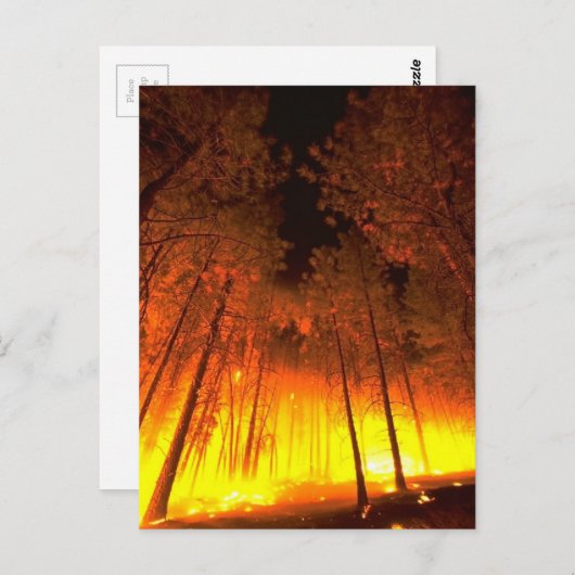 Waldbrand Postkarte (Vorne/Hinten)