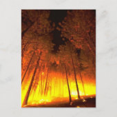 Waldbrand Postkarte (Vorderseite)