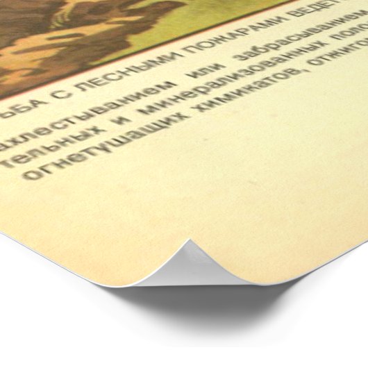 Waldbrände Poster (Ecke)