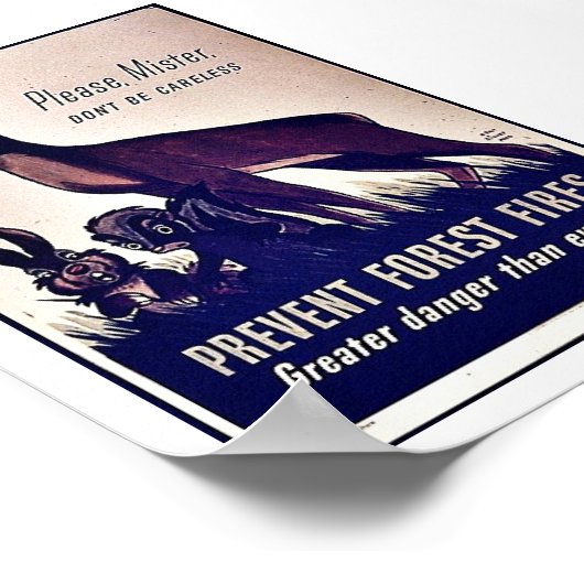 Waldbrände verhindern poster (Ecke)