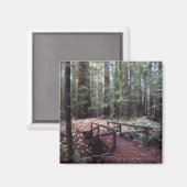 Waldbrücke - Humboldt Redwoods Staat Park Magnet (Vorderseite/Rückseite)