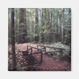 Waldbrücke - Humboldt Redwoods Staat Park Magnet