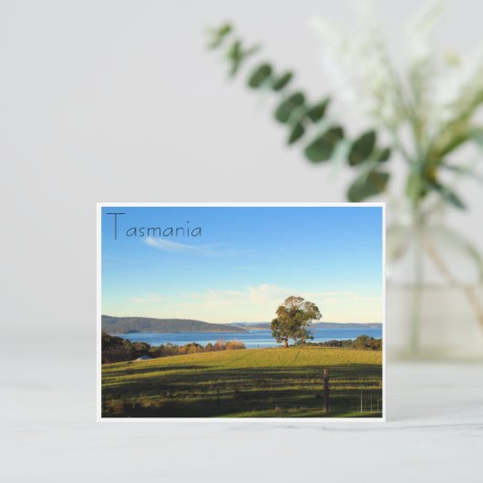 Waldbrücke Postkarte (Stehend Vorderseite)