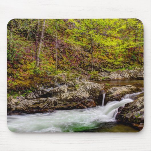 Waldbrunnen in großen, rauschigen Bergen Mousepad (Vorne)
