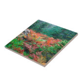 Waldbunte Farne in HerbstAcadia Maine Fliese (Seite)