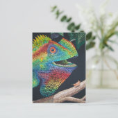 Walddrache Postkarte (Stehend Vorderseite)