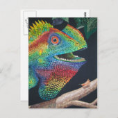 Walddrache Postkarte (Vorne/Hinten)