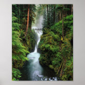 Walddruck Poster (Vorne)