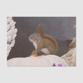 Waldeichhörnchen auf Kürbis Seidenpapier