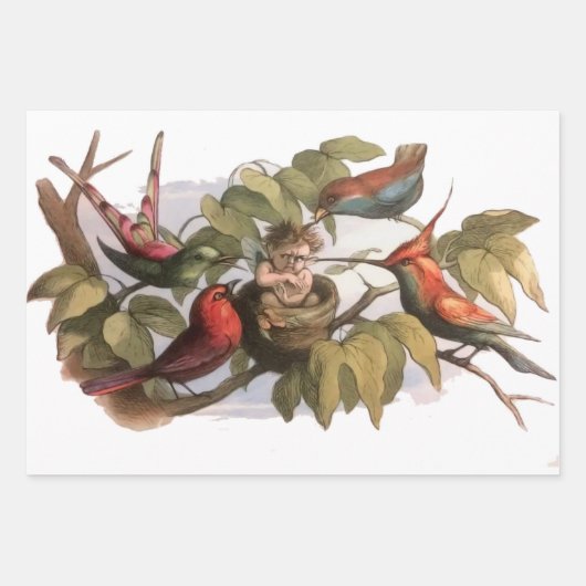 Waldelf im Nest: Antique Bird Sprite Fairy Geschenkpapier Set (Vorderseite)