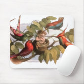 Waldelf im Nest: Antique Bird Sprite Fairy Mousepad (Mit Mouse)