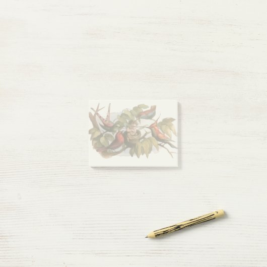 Waldelf im Nest: Antique Bird Sprite Fairy Post-it Klebezettel (Auf Schreibtisch)