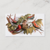 Waldelf im Nest: Antique Bird Sprite Fairy Visitenkarte (Rückseite)
