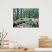 Walden Forest Poster (Küche)