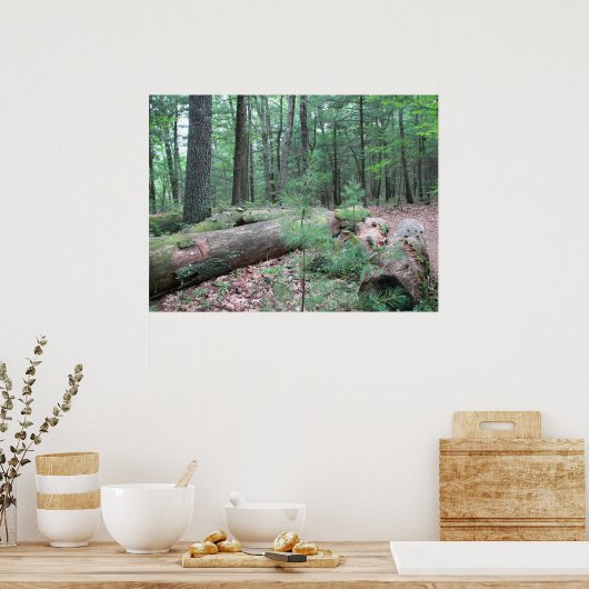 Walden Forest Poster (Küche)