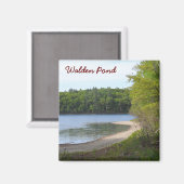 Walden Pond, Concord, MA Magnet (Vorderseite/Rückseite)