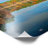 Walden Pond Foto Print (Ecke)