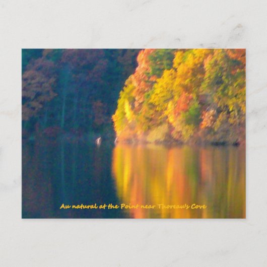 Walden Pond Herbstblätterkarte Postkarte (Vorderseite)
