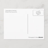 Walden Pond - kontemplative Postkarte (Rückseite)