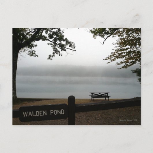 Walden Pond - kontemplative Postkarte (Vorderseite)