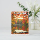 Walden Pond Massachusetts Travel Postkarte (Stehend Vorderseite)