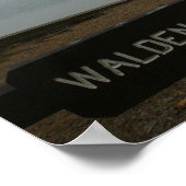 Walden Pond Poster - Kontemplative Verschmutzungen (Ecke)