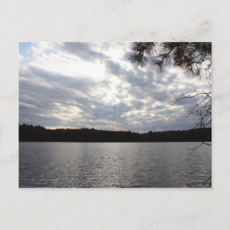 Walden Pond Postkarte
