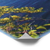 Walden Pond Print Poster (Ecke)