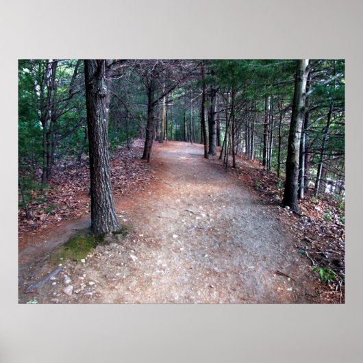 Walden Pond Trail Print Poster (Vorne)