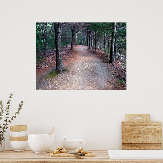 Walden Pond Trail Print Poster (Küche)